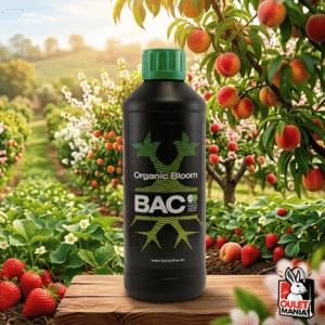 Organic Bloom 250ml - BAC | Fertilizante Orgánico