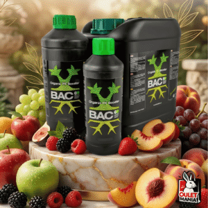 Organic PK Booster 500ml Potenciador - BAC